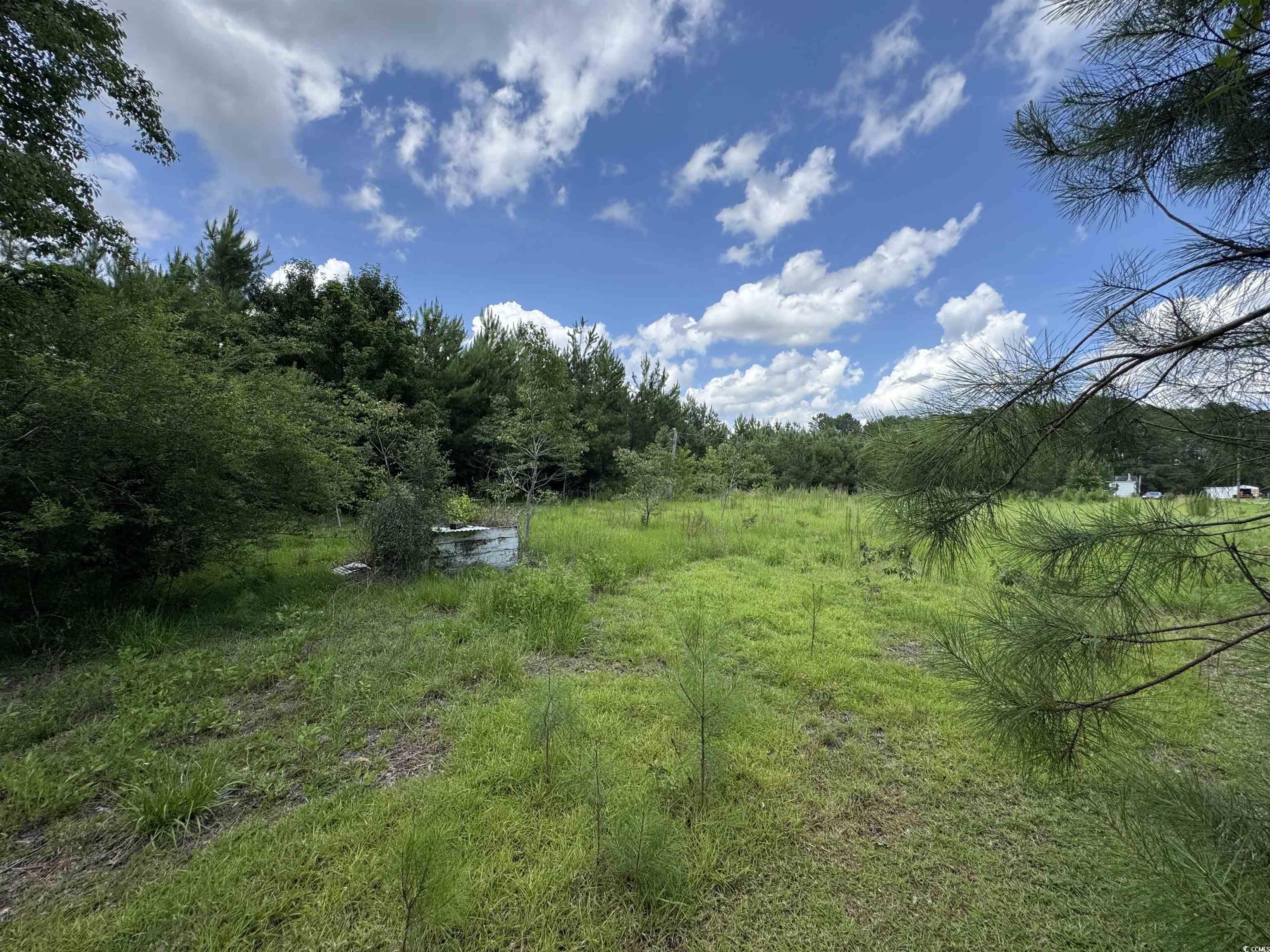 1212 Nursery Road Loris, SC 29569 - Photo 6 of 18
