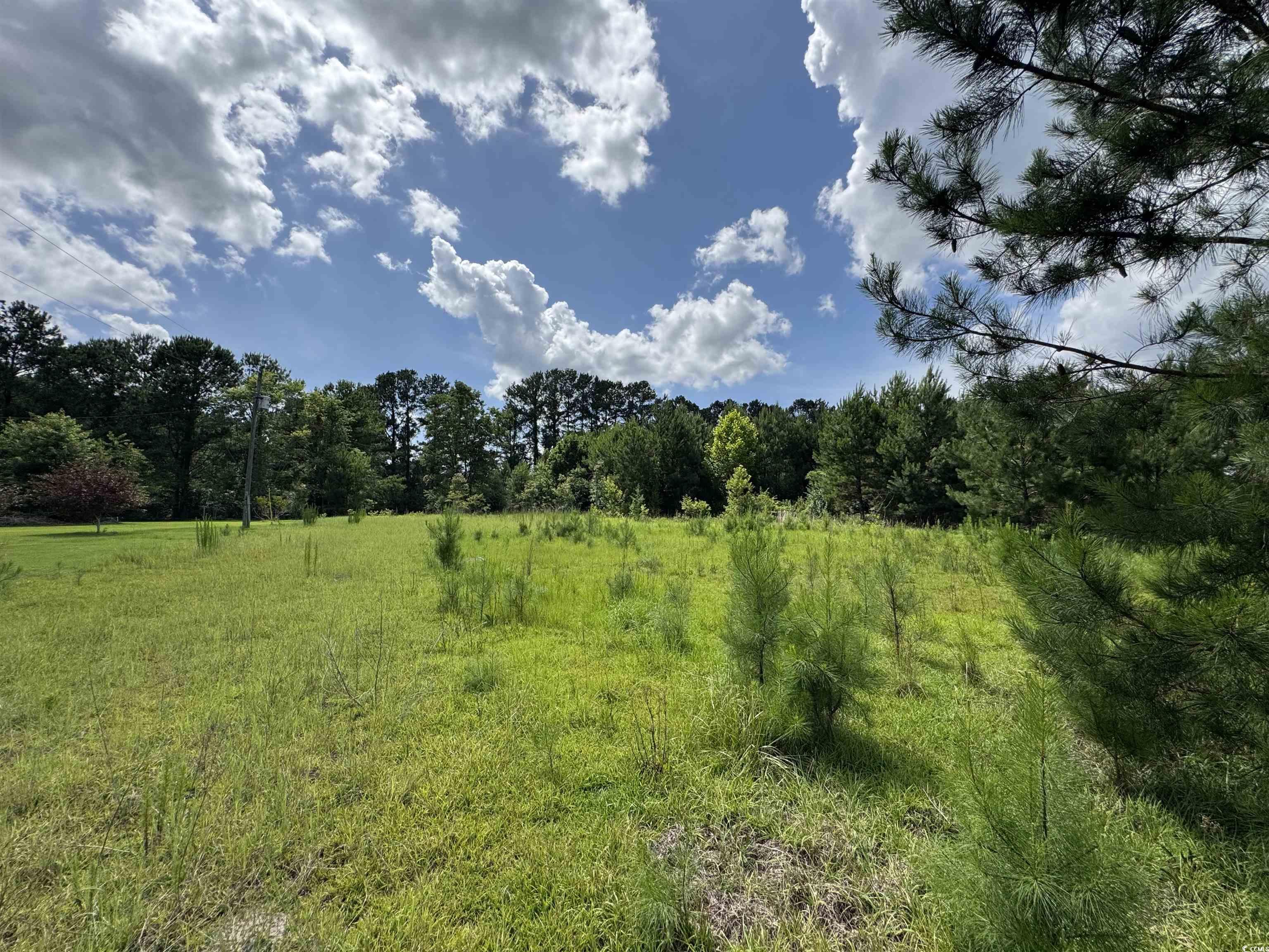1212 Nursery Road Loris, SC 29569 - Photo 7 of 18