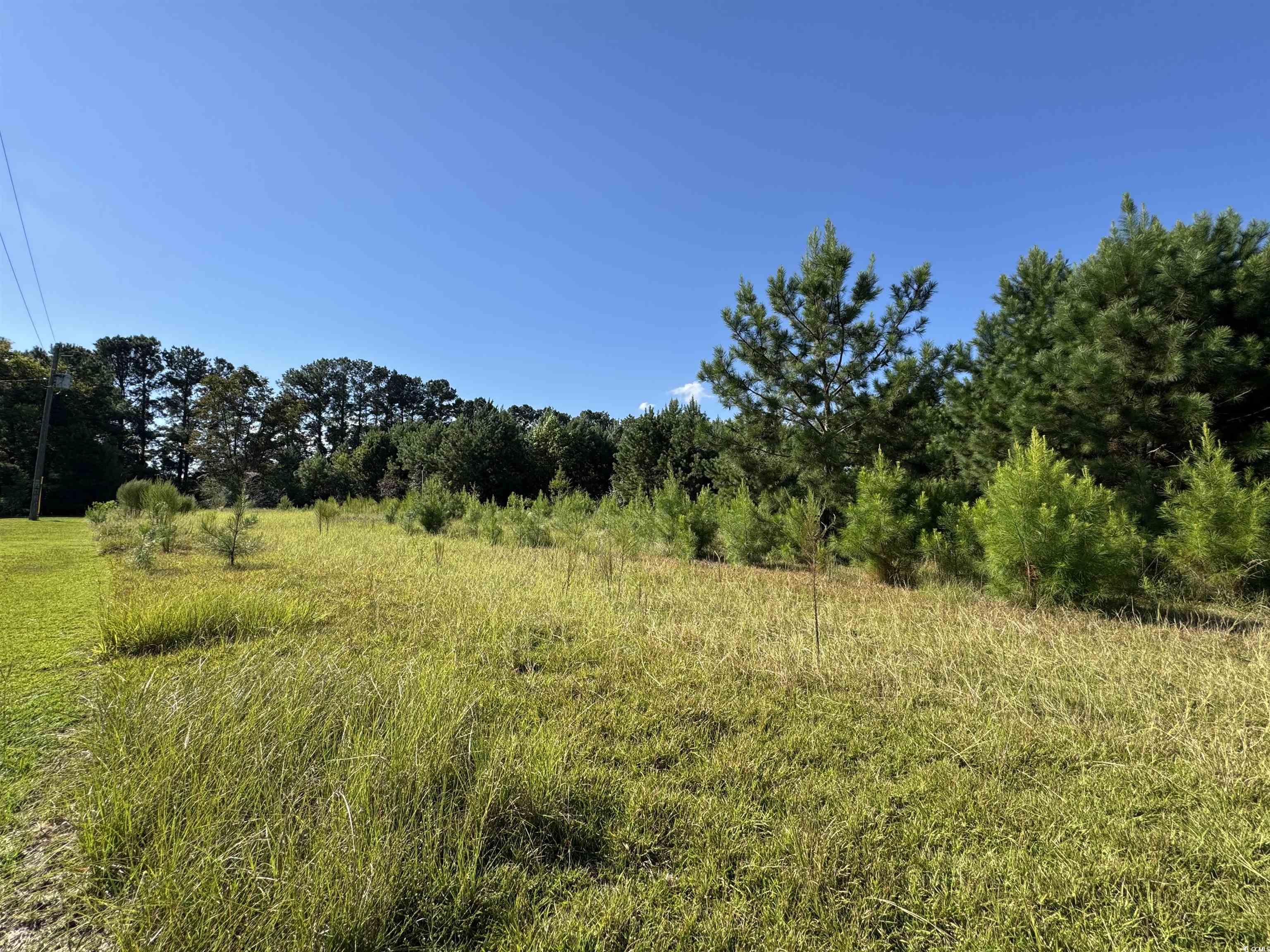 1212 Nursery Road Loris, SC 29569 - Photo 8 of 18