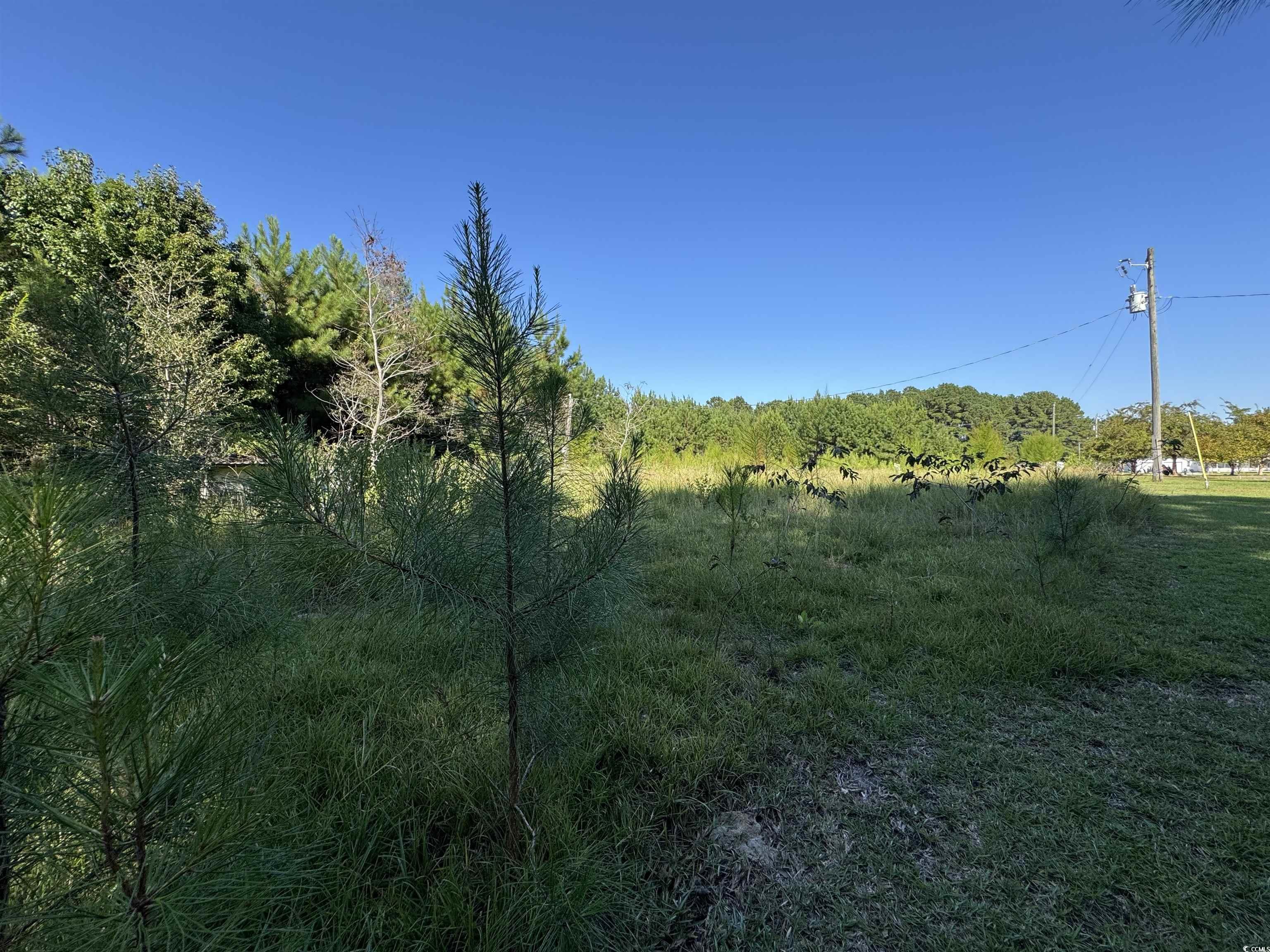 1212 Nursery Road Loris, SC 29569 - Photo 9 of 18