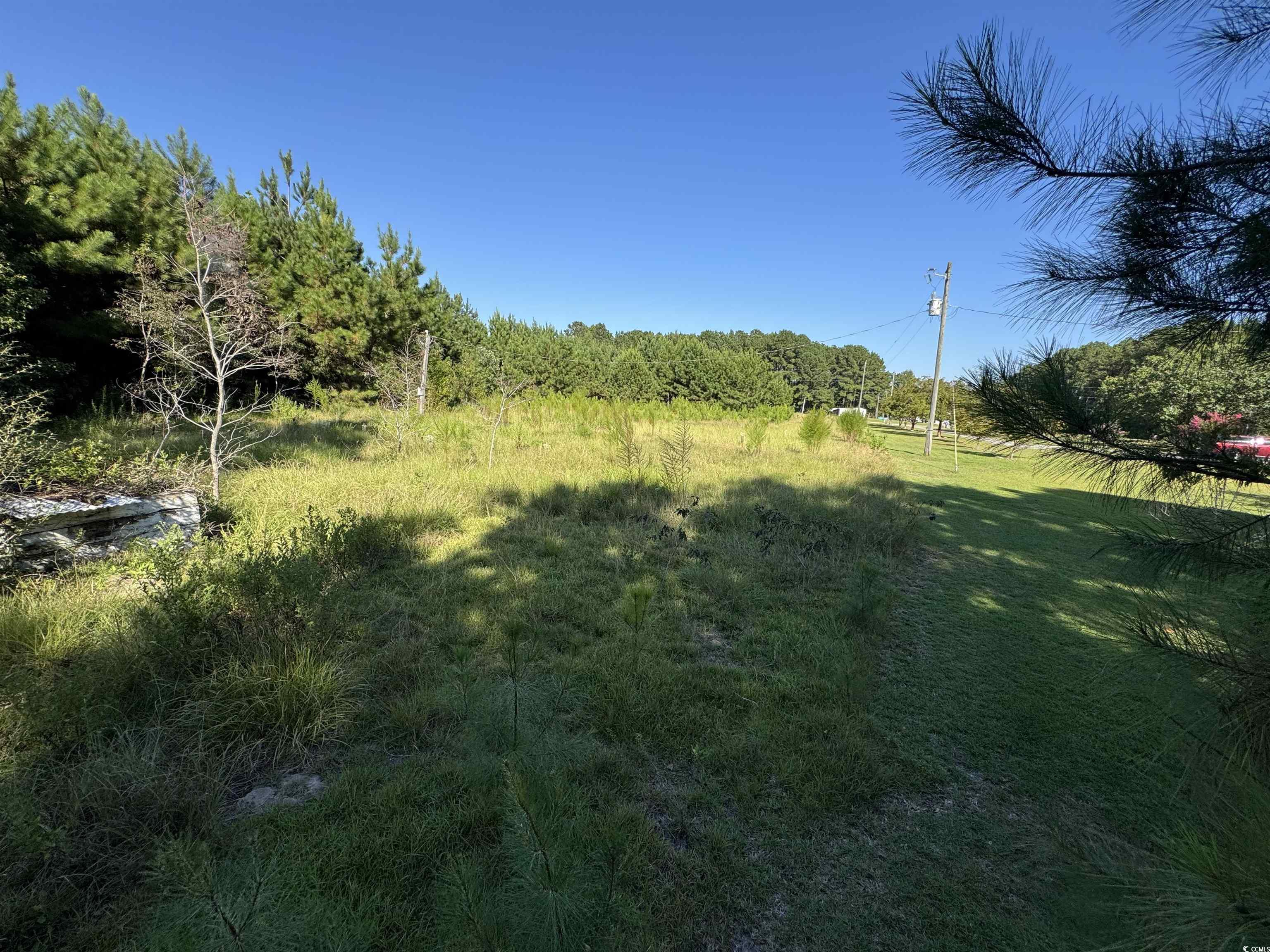 1212 Nursery Road Loris, SC 29569 - Photo 10 of 18