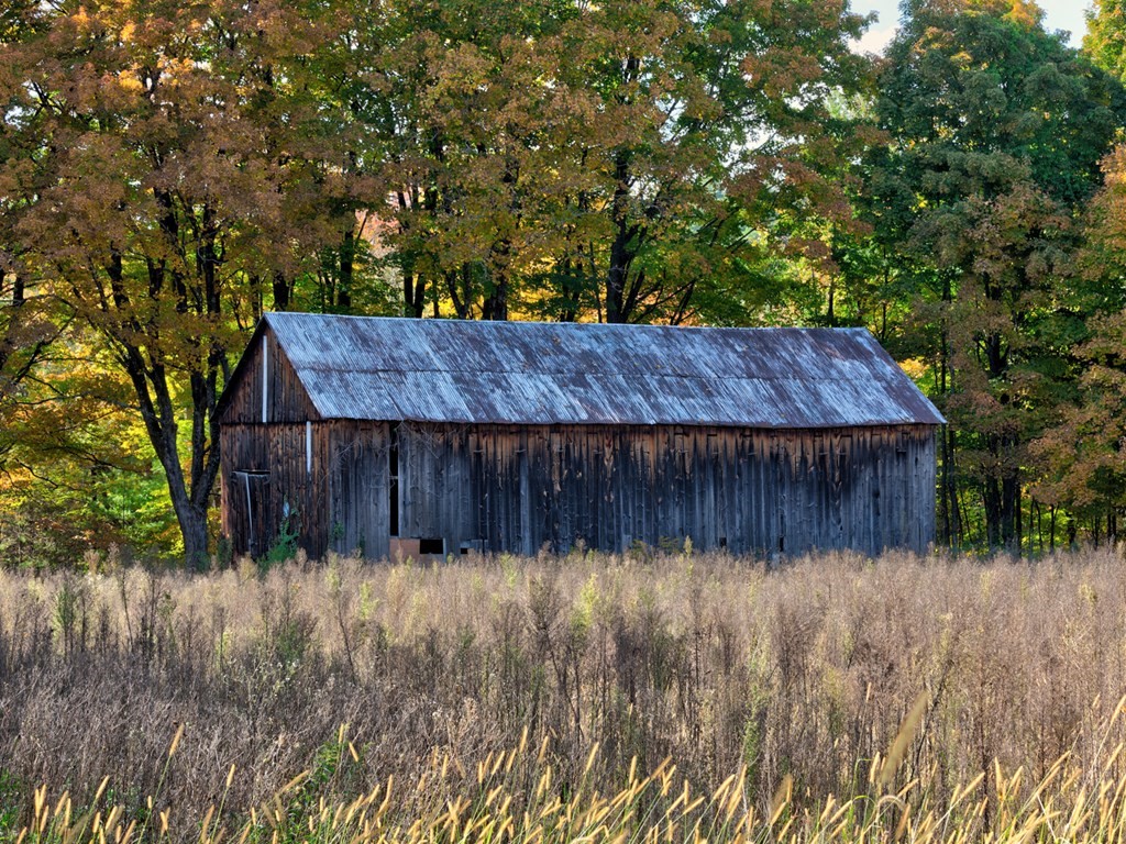Lot 5 Market Hill Road Amherst, MA 01002 - Photo 4 of 10