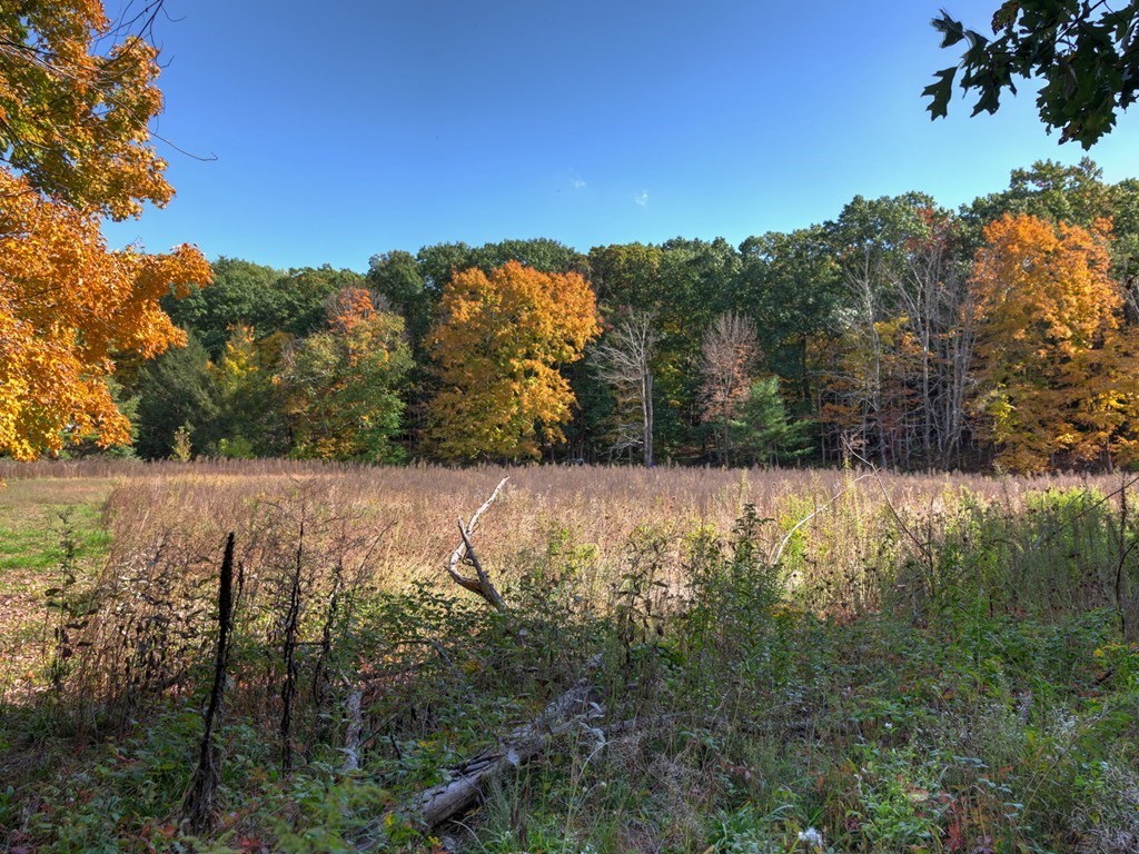 Lot 5 Market Hill Road Amherst, MA 01002 - Photo 8 of 10