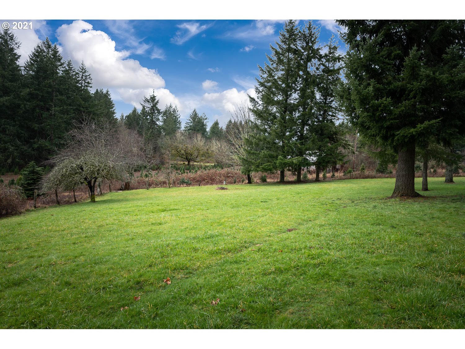 23912 South Upper Highland Road Beavercreek, OR 97004 - Photo 28 of 32