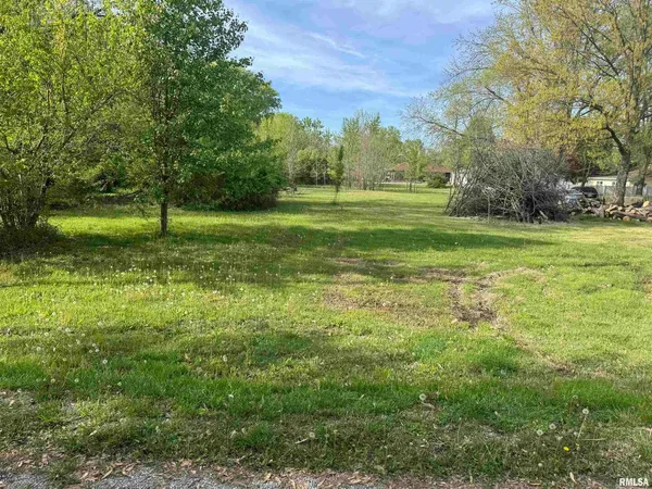 a view of a grassy field with trees