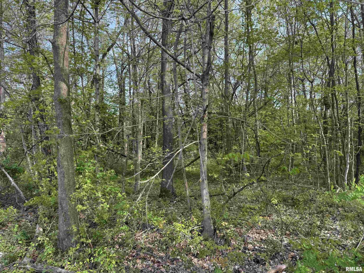 0 Sterling Street Benton, IL 62812 - Photo 6 of 13