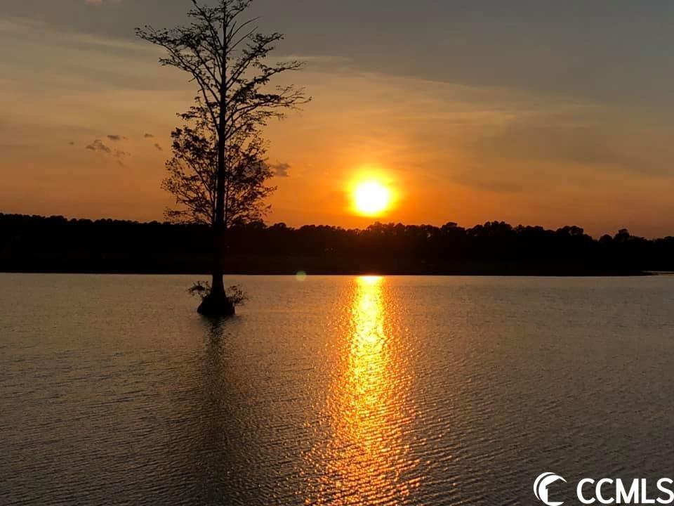 1019 Cascade Loop Little River, SC 29566 - Photo 19 of 19