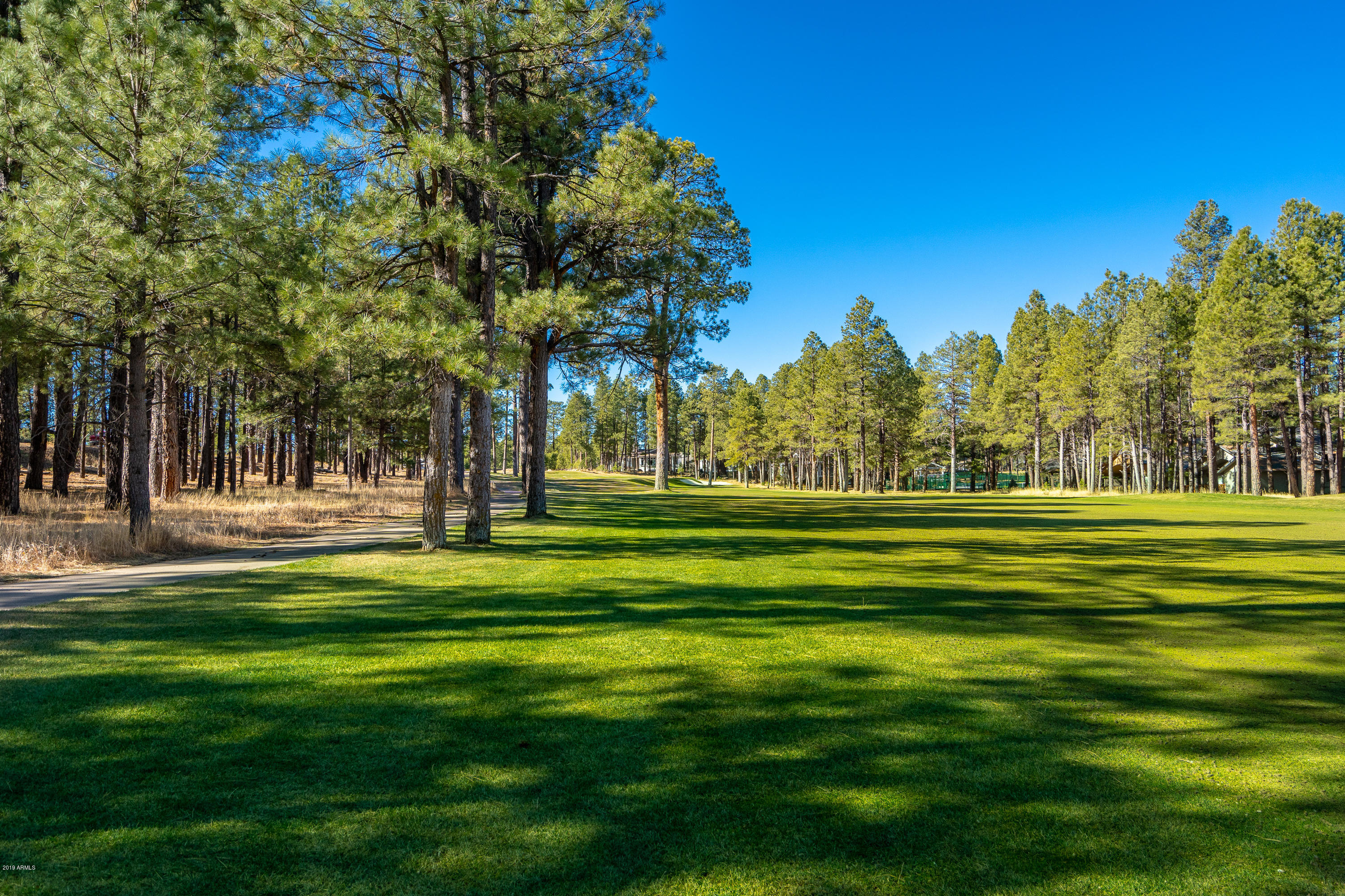 5726 Griffiths Spring Flagstaff, AZ 86005 - Photo 3 of 28 BCP2019-12
