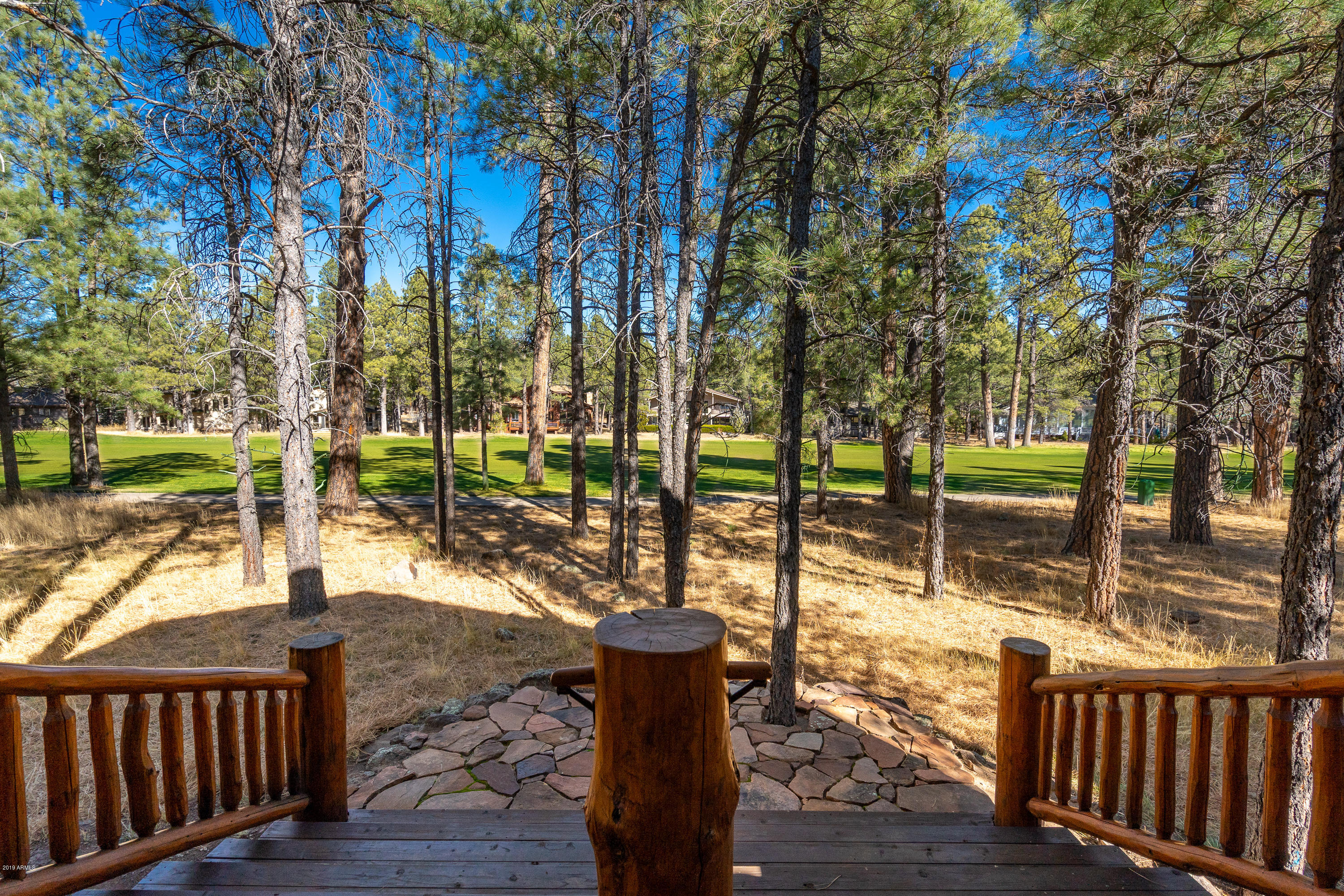 5726 Griffiths Spring Flagstaff, AZ 86005 - Photo 5 of 28 BCP2019-11