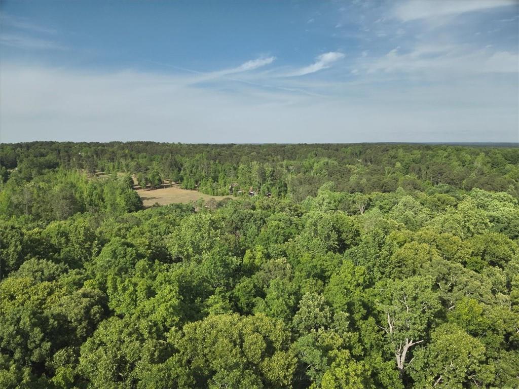 2033 Peeksville Road Locust Grove, GA 30248 - Photo 16 of 81 Gallery Image 16