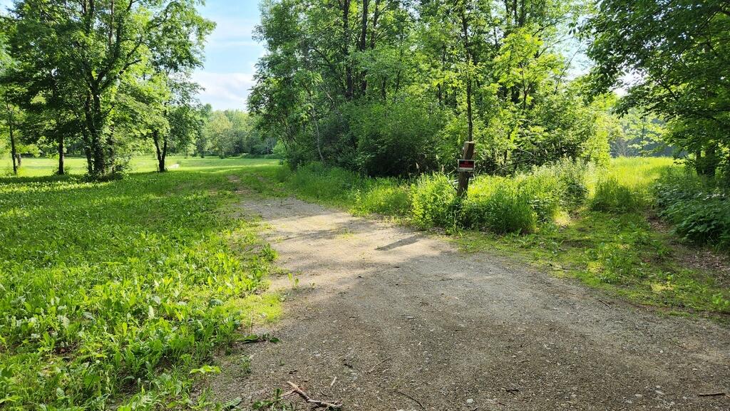 Lot 76 Flagg Road New Sharon, ME 04955 - Photo 28 of 51 20250619_172537_resized