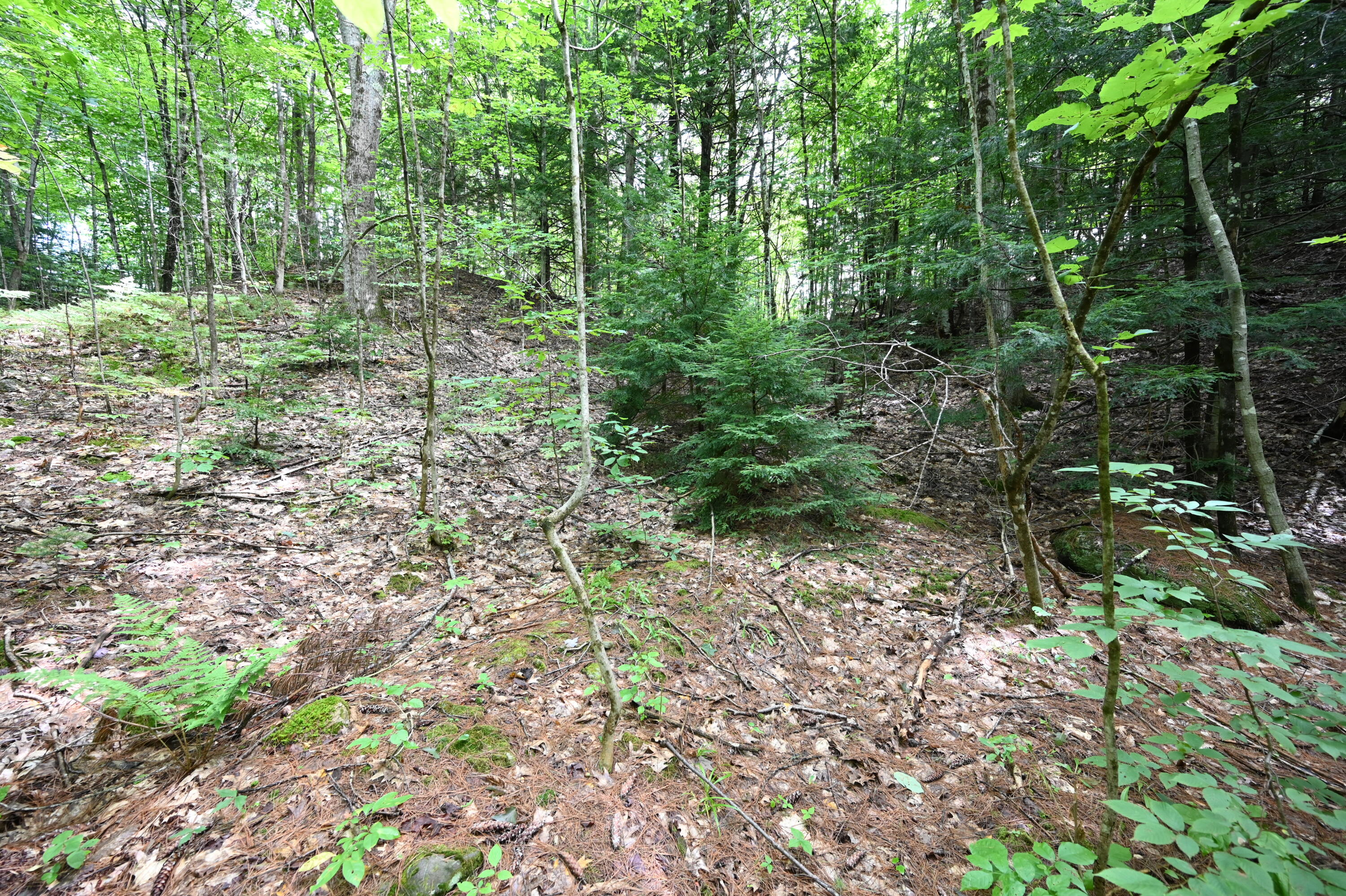 Lot# Federal Road Livermore, ME 04253 - Photo 5 of 9 Lot
