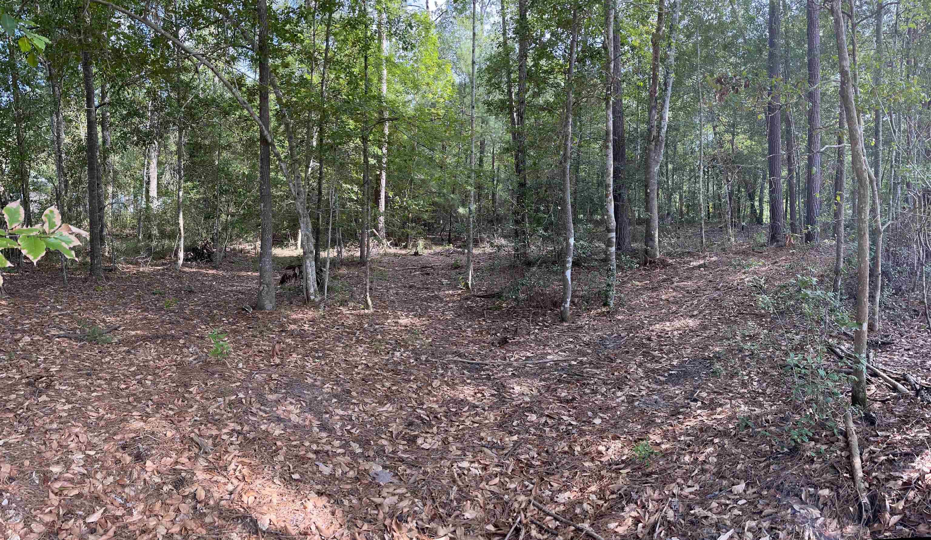 0 Reeves Drive Silsbee, TX 77656 - Photo 1 of 1