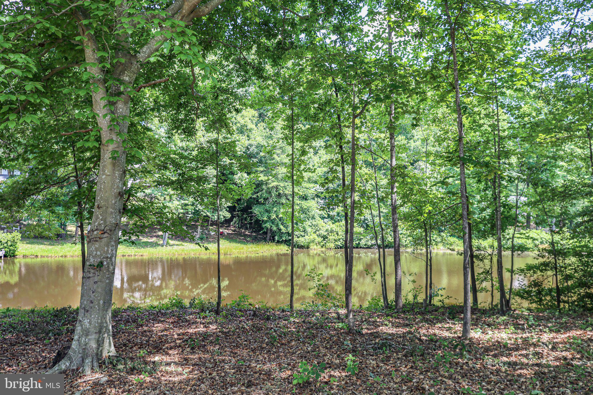 14 Johnson Drive Ruther Glen, VA 22546 - Photo 34 of 40 Pond