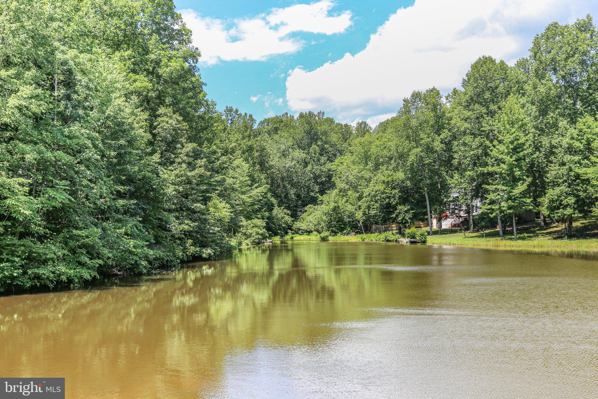 14 Johnson Drive Ruther Glen, VA 22546 - Photo 35 of 40 Pond views