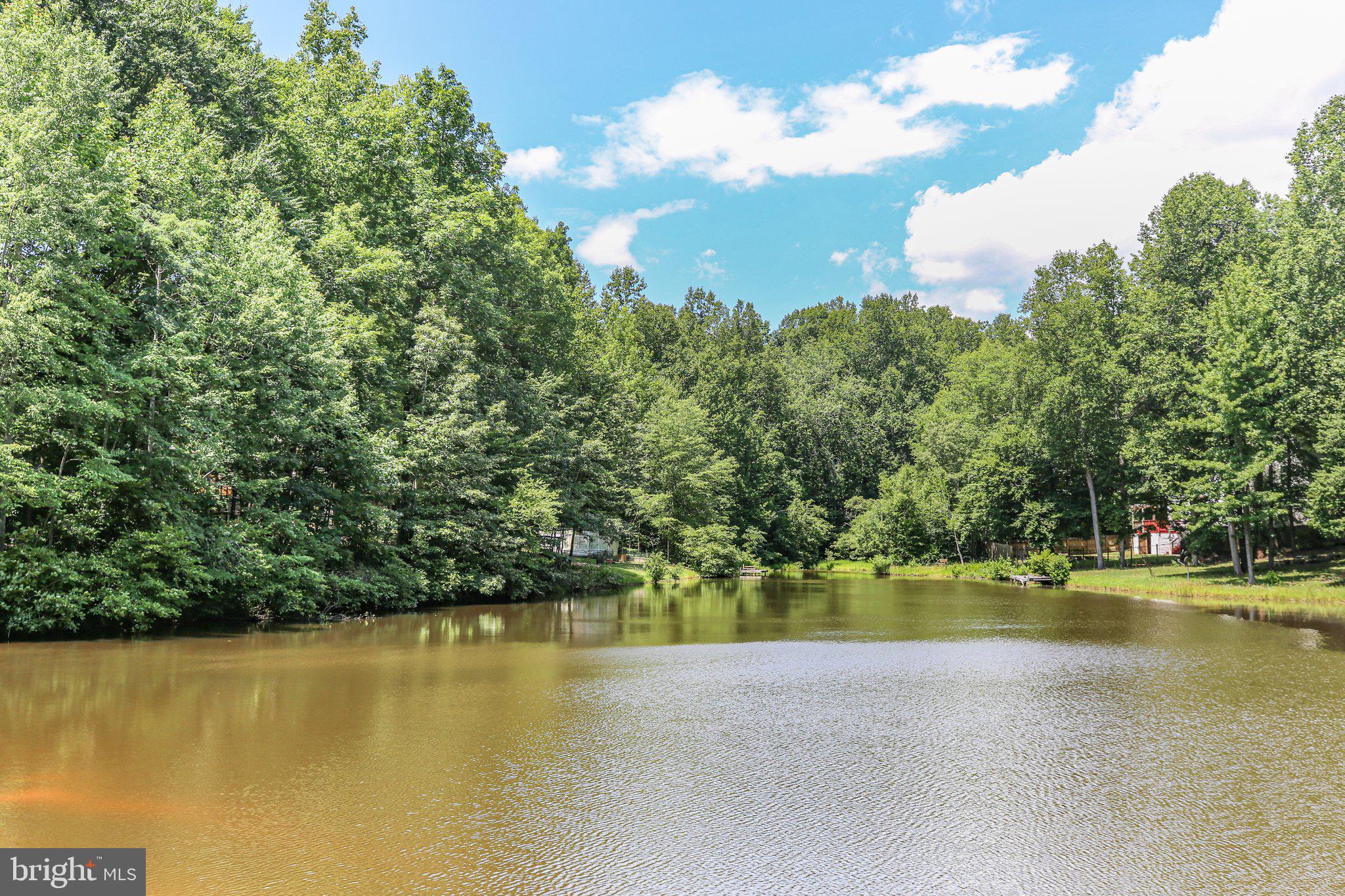14 Johnson Drive Ruther Glen, VA 22546 - Photo 36 of 40 Pond views