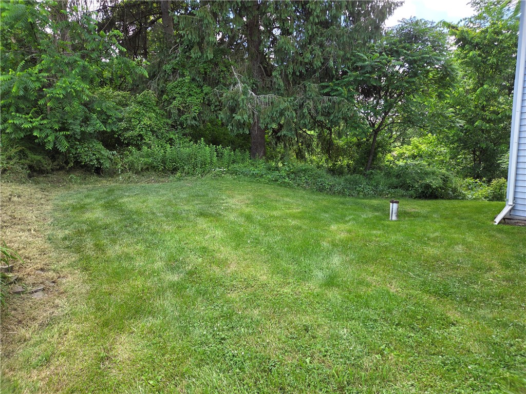 5 South Hill Road Van Etten, NY 14889 - Photo 46 of 50
