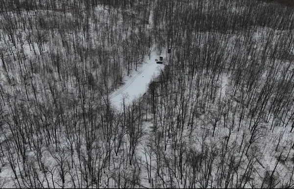 $255,000 | Tower Rd Road, Curran, MI 48728