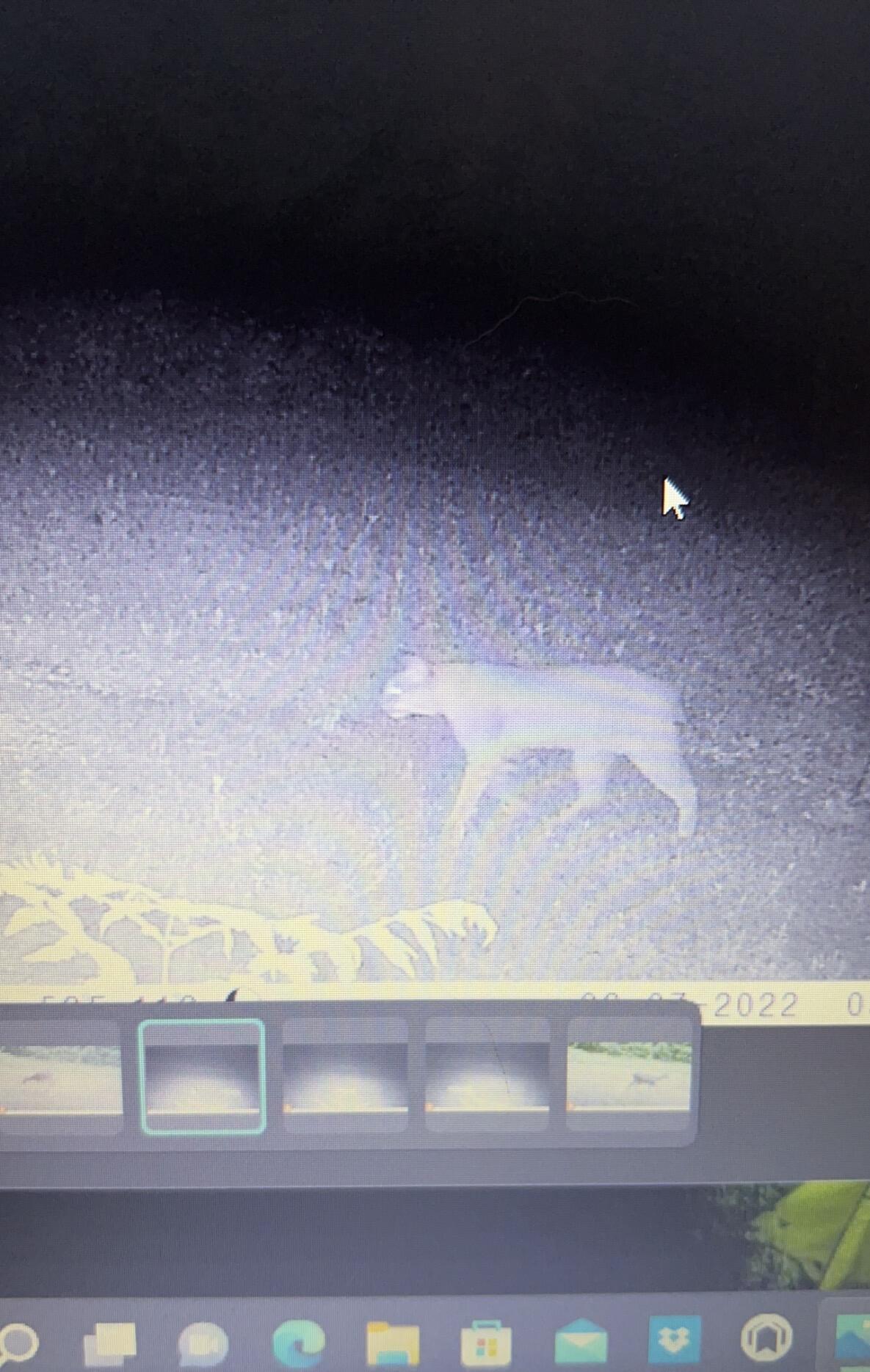 Tower Rd Road Curran, MI 48728 - Photo 11 of 24 IMG_1181