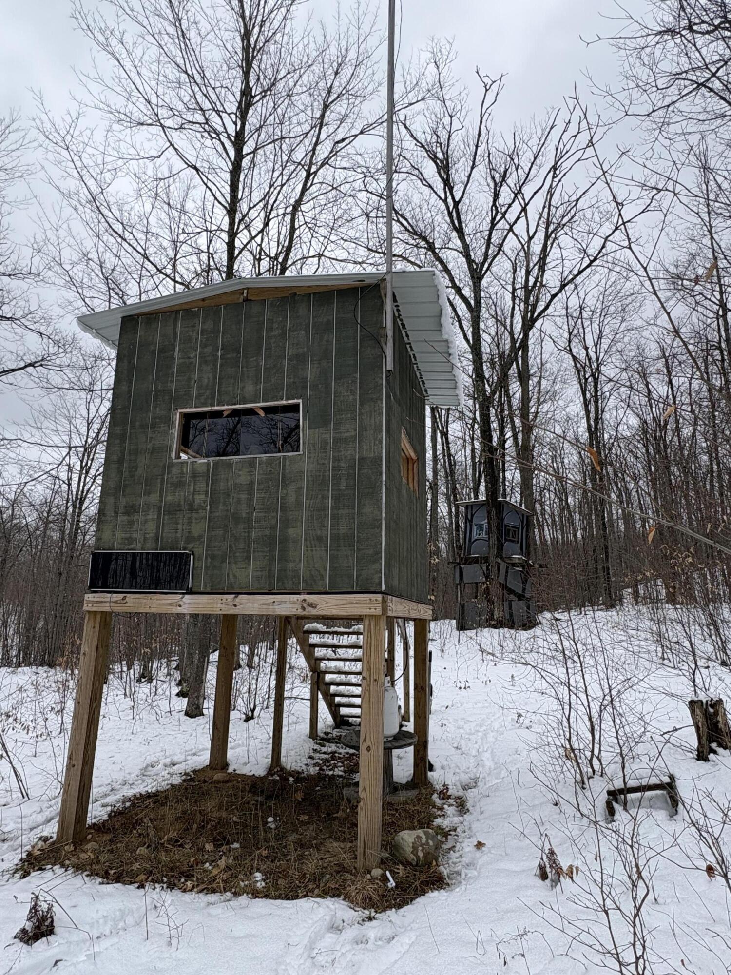 Tower Rd Road Curran, MI 48728 - Photo 12 of 24 IMG_9846