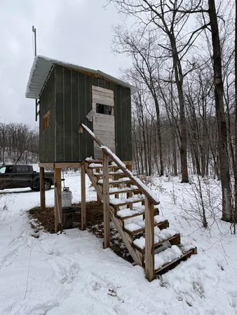$255,000 | Tower Rd Road, Curran, MI 48728
