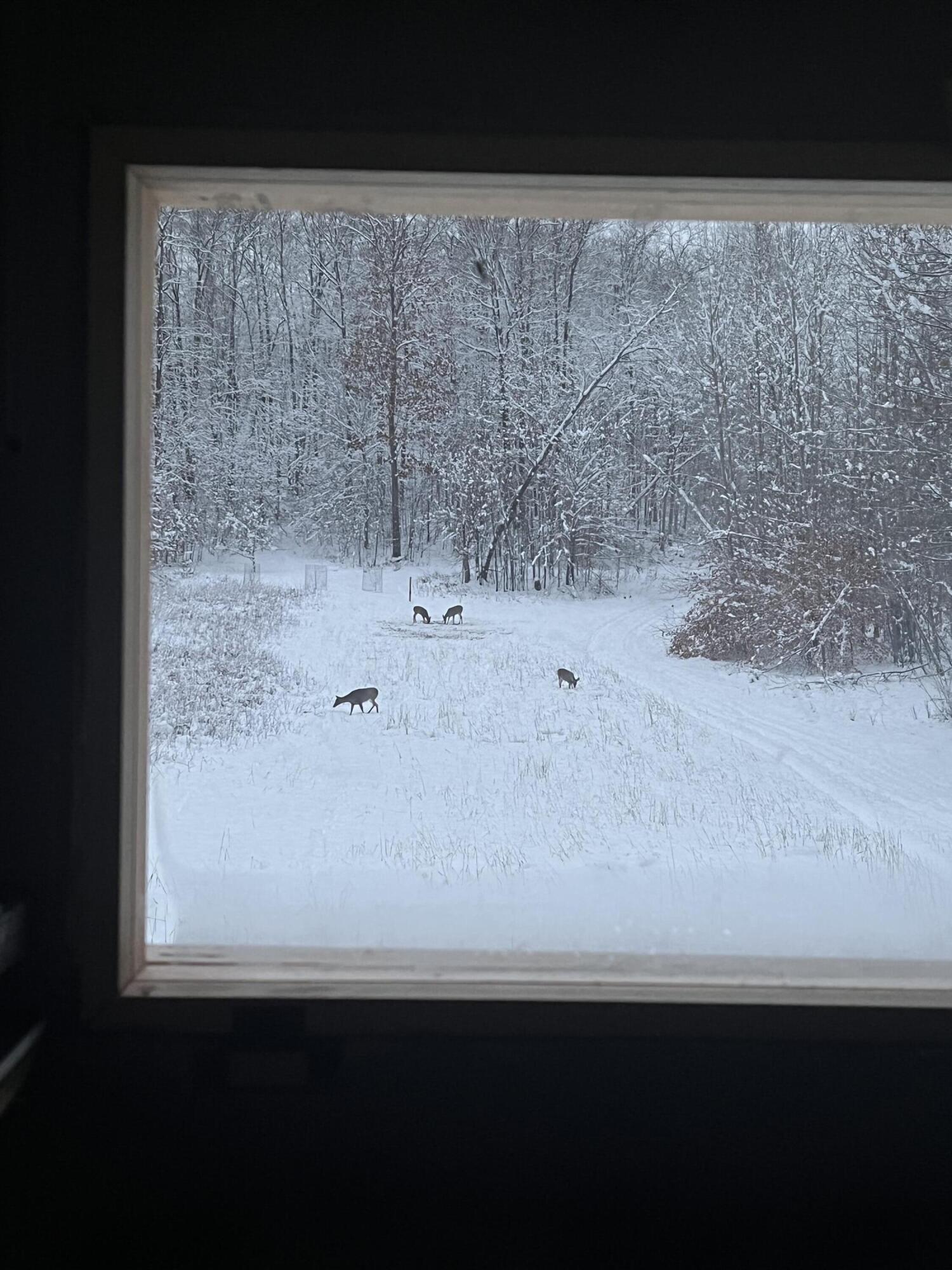 Tower Rd Road Curran, MI 48728 - Photo 14 of 24 IMG_1927