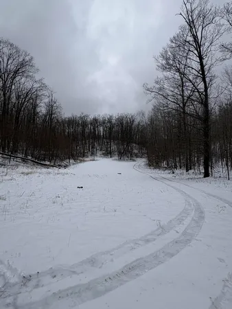 $255,000 | Tower Rd Road, Curran, MI 48728