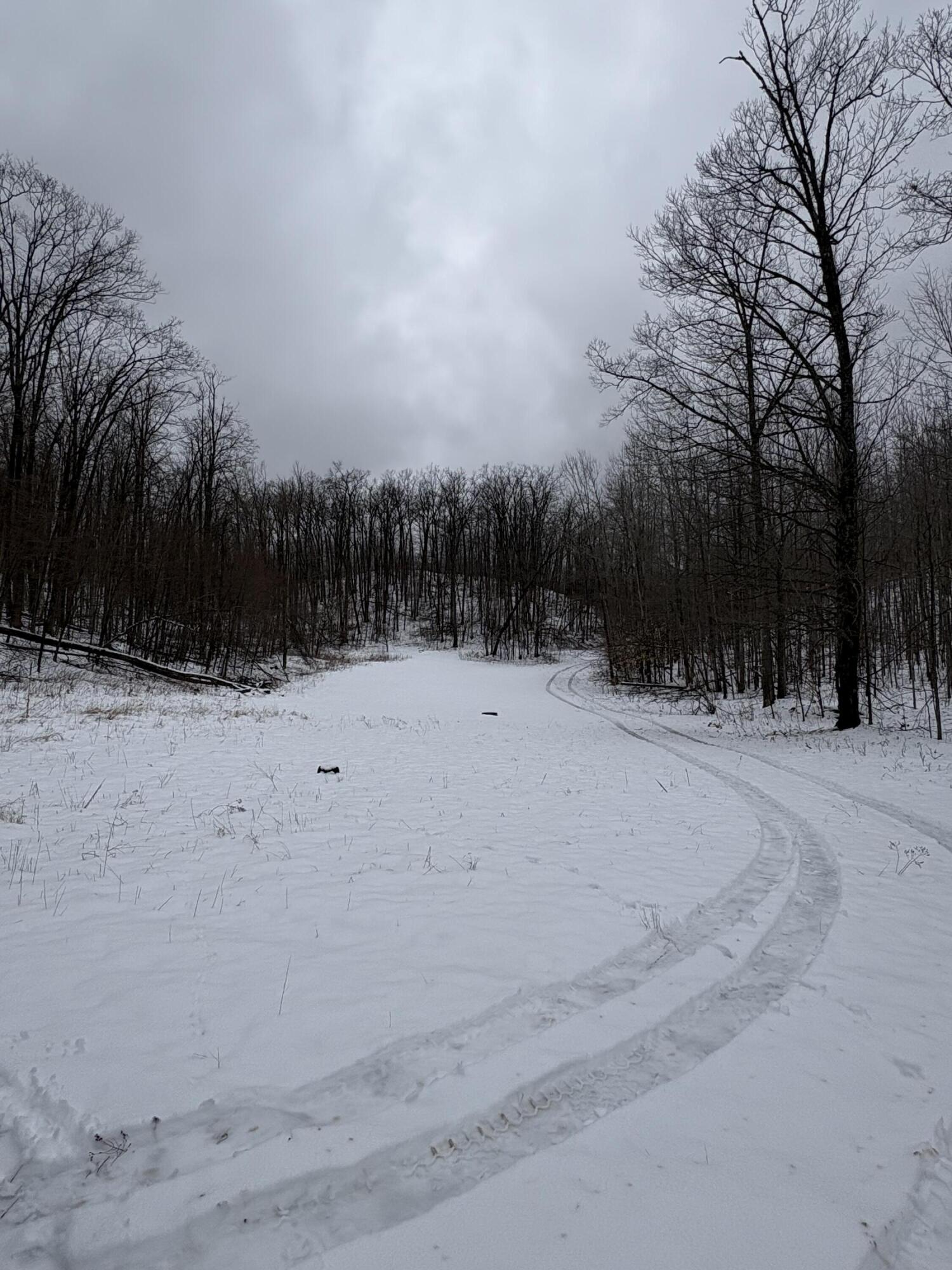Tower Rd Road Curran, MI 48728 - Photo 16 of 24 IMG_9847