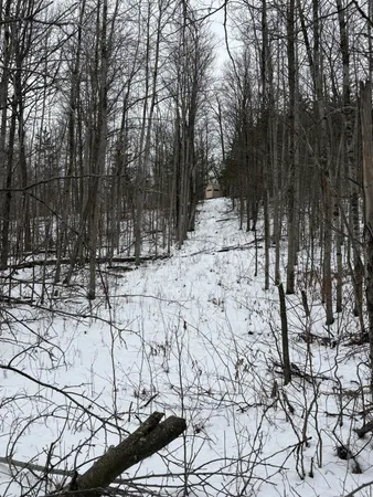 $255,000 | Tower Rd Road, Curran, MI 48728