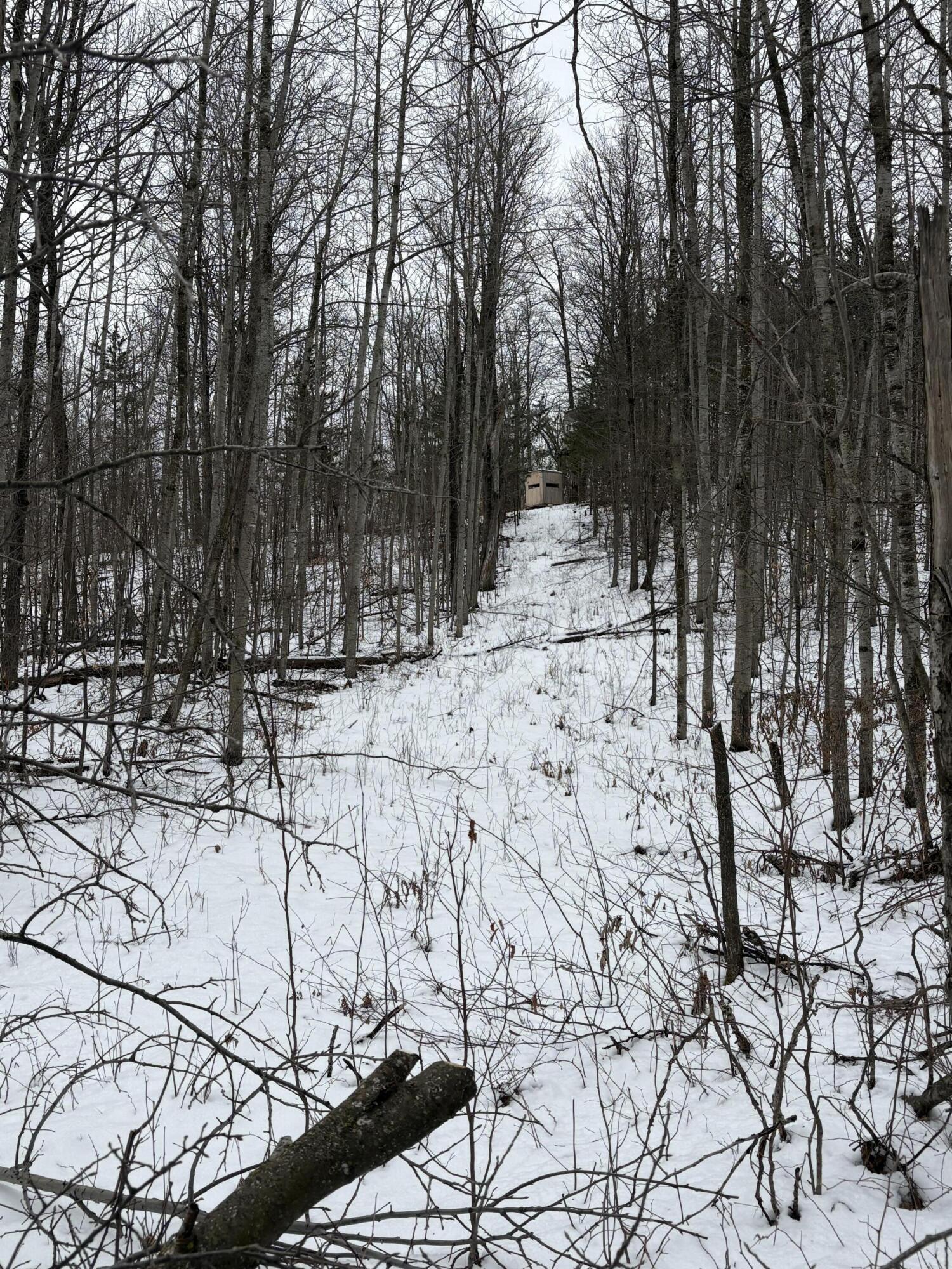 Tower Rd Road Curran, MI 48728 - Photo 18 of 24 IMG_9851