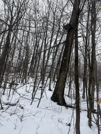 $255,000 | Tower Rd Road, Curran, MI 48728