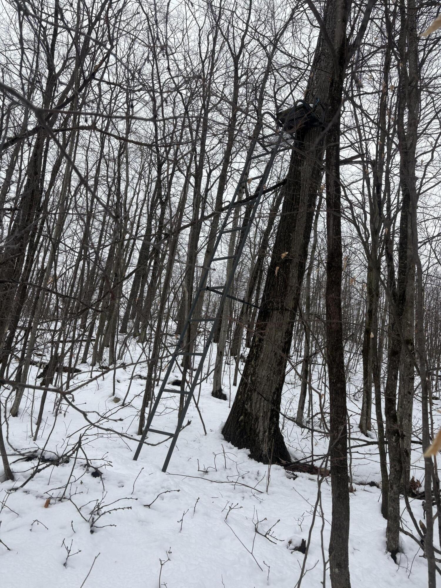 Tower Rd Road Curran, MI 48728 - Photo 19 of 24 IMG_9856