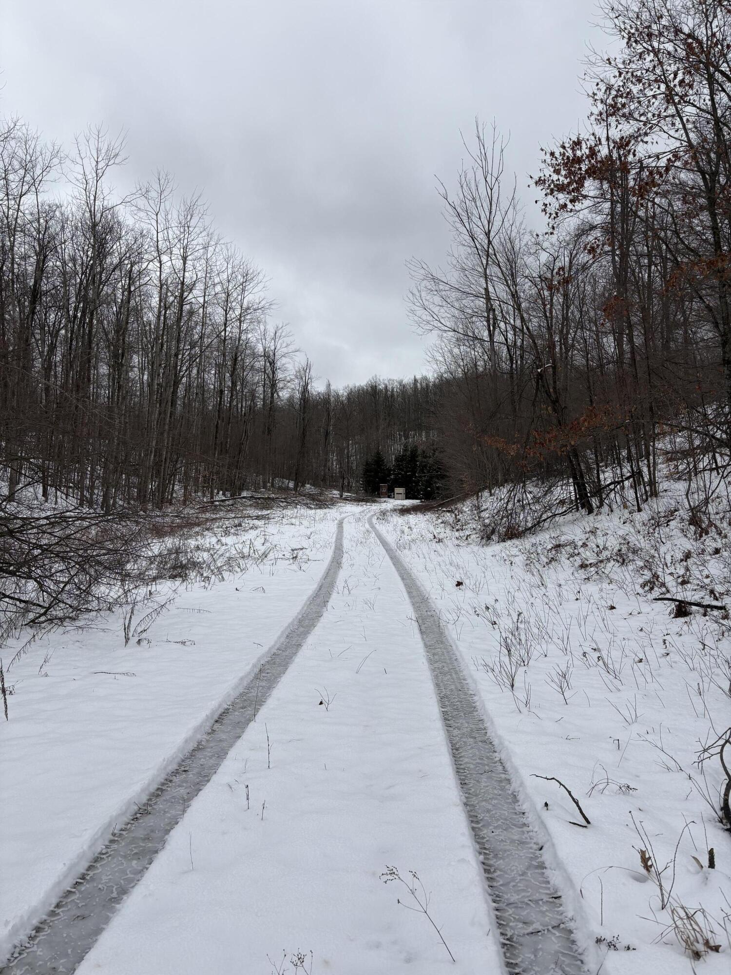 Tower Rd Road Curran, MI 48728 - Photo 20 of 24 IMG_9852