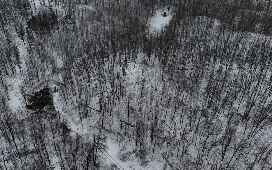 Tower Rd Road Curran, MI 48728 - Photo 2 of 24 IMG_9907