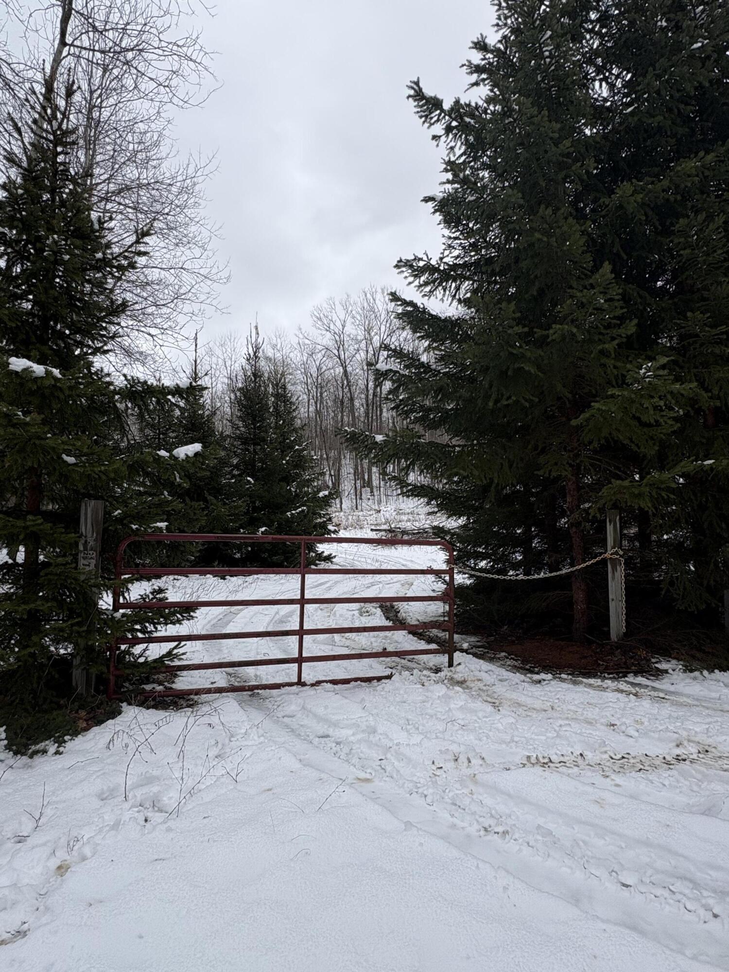 Tower Rd Road Curran, MI 48728 - Photo 21 of 24 IMG_9860