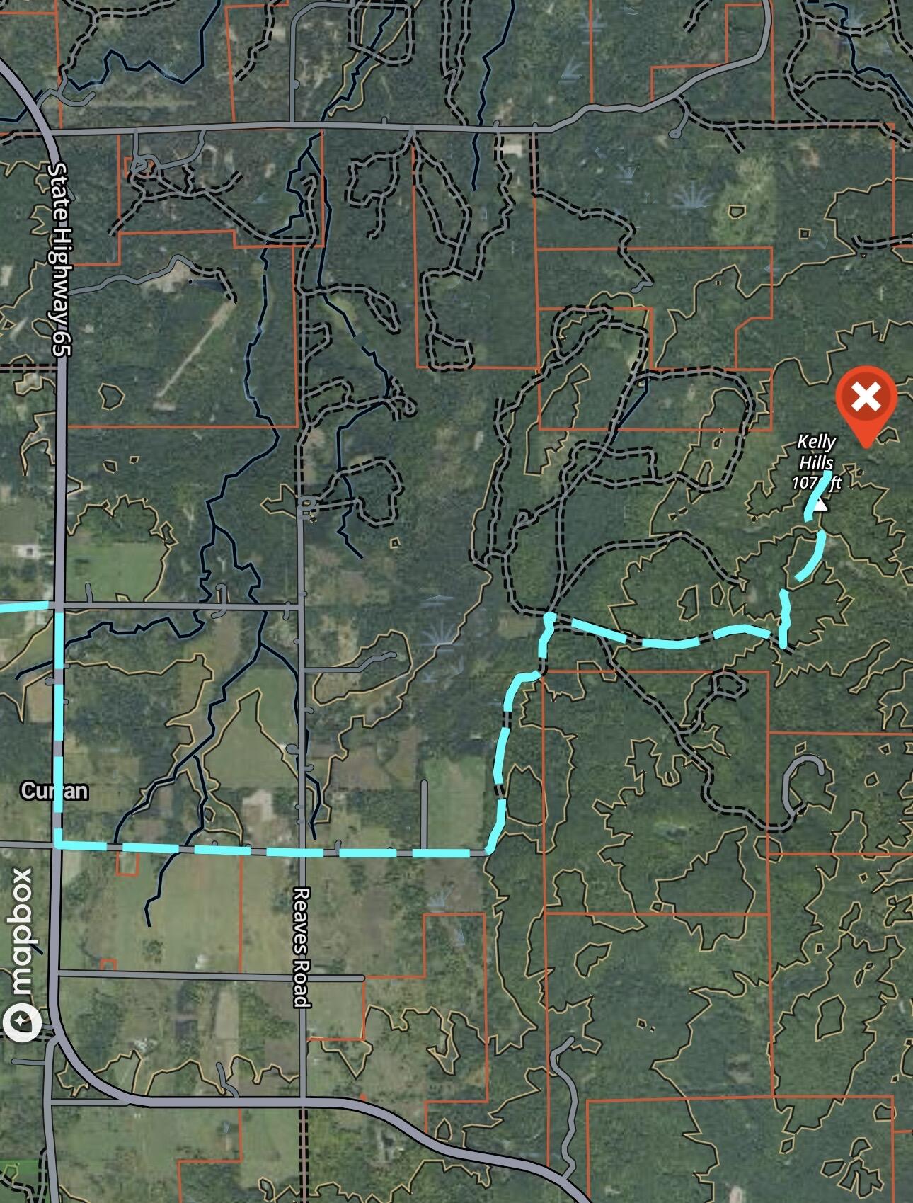 Tower Rd Road Curran, MI 48728 - Photo 23 of 24 IMG_9894