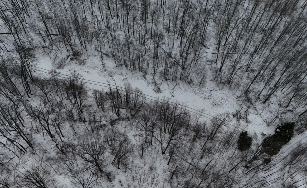 Tower Rd Road Curran, MI 48728 - Photo 4 of 24 IMG_9904