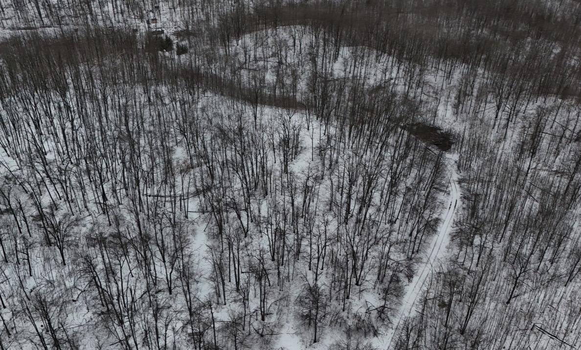 Tower Rd Road Curran, MI 48728 - Photo 5 of 24 IMG_9898