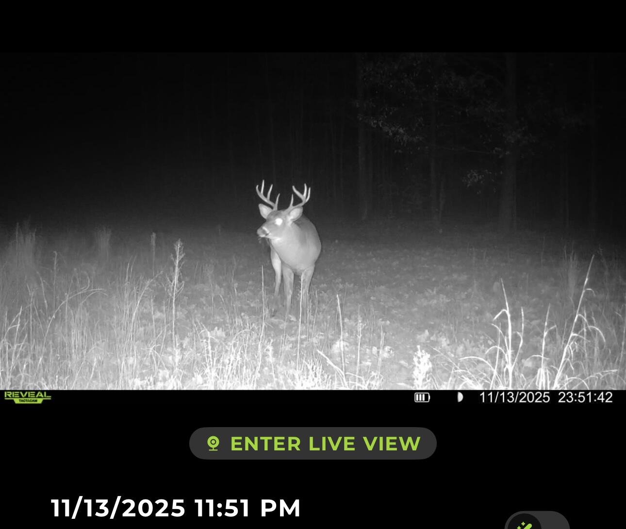 Tower Rd Road Curran, MI 48728 - Photo 6 of 24 IMG_6097