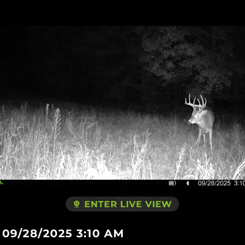 Tower Rd Road Curran, MI 48728 - Photo 8 of 24 332BF0C2-158C-4714-9641-CD602C926519