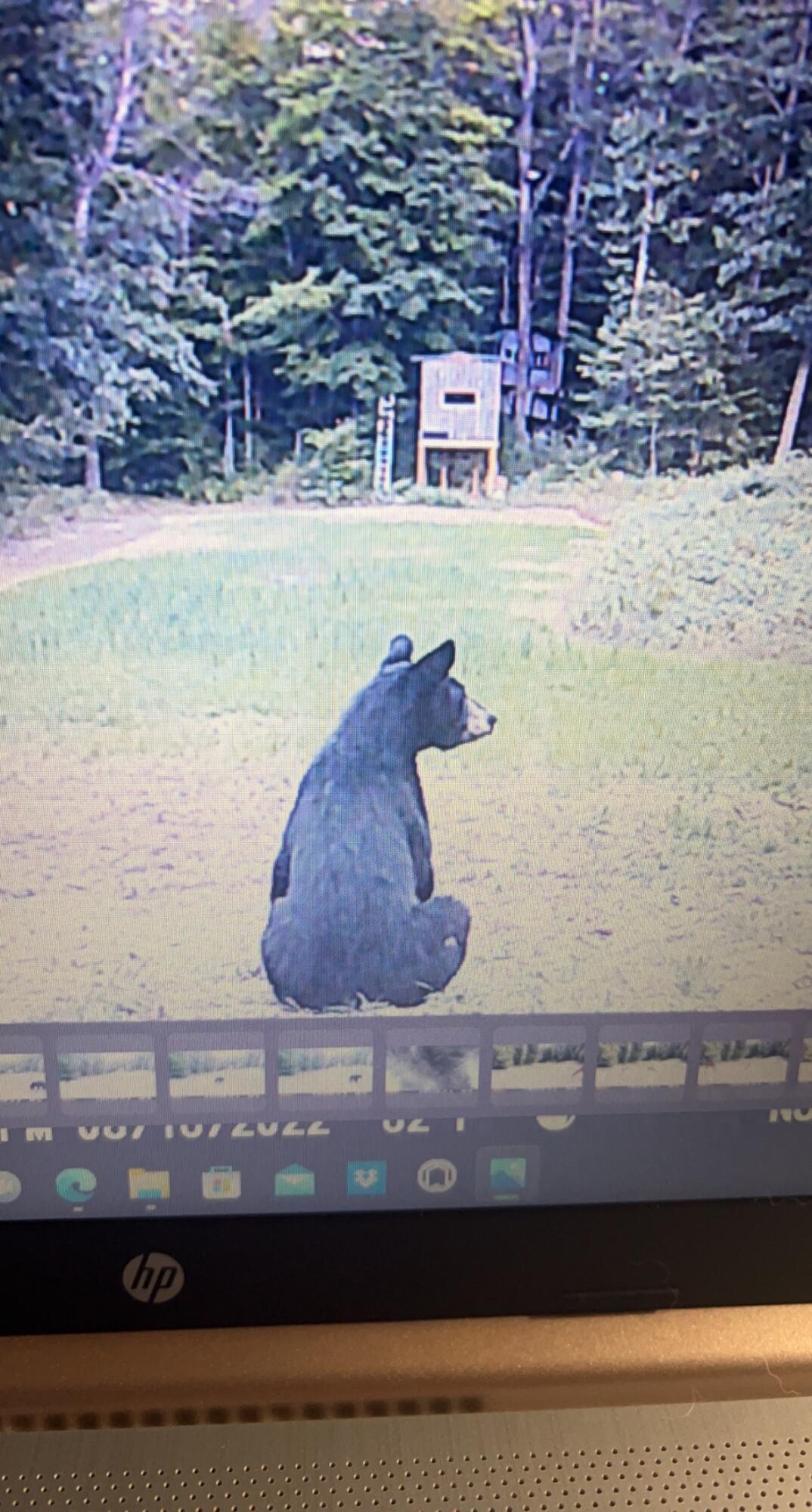 Tower Rd Road Curran, MI 48728 - Photo 9 of 24 IMG_1403