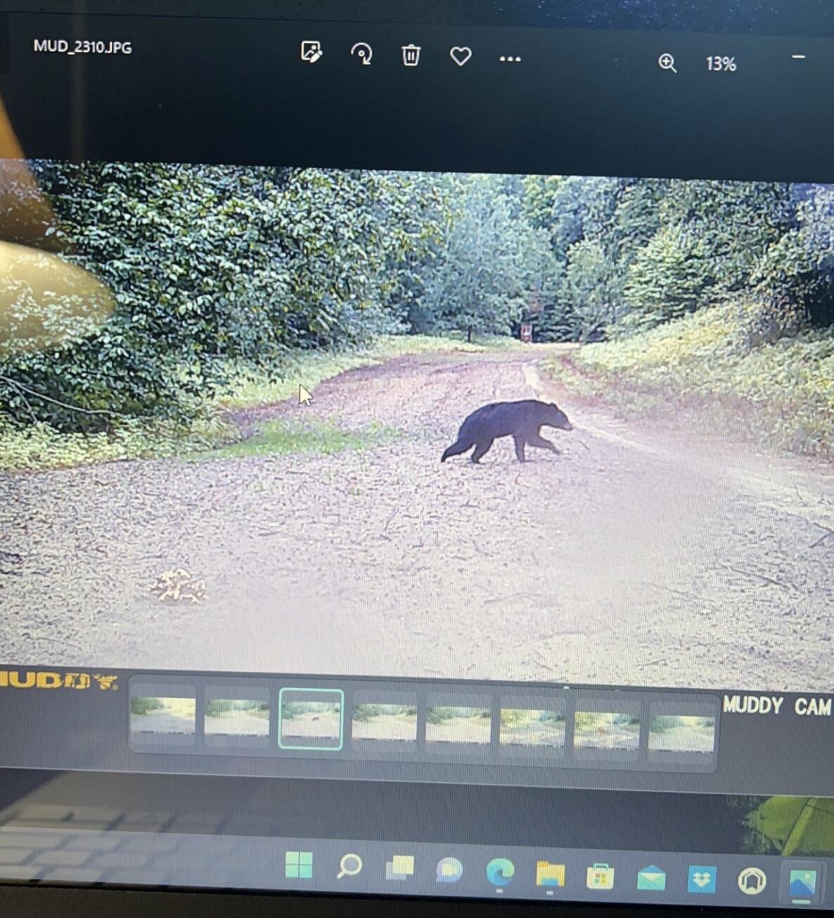 Tower Rd Road Curran, MI 48728 - Photo 10 of 24 IMG_1341