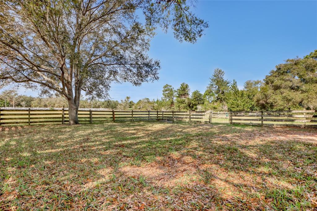 5005 Highway 1 Mims, FL 32754 - Photo 63 of 69 a view of dirt yard with large trees