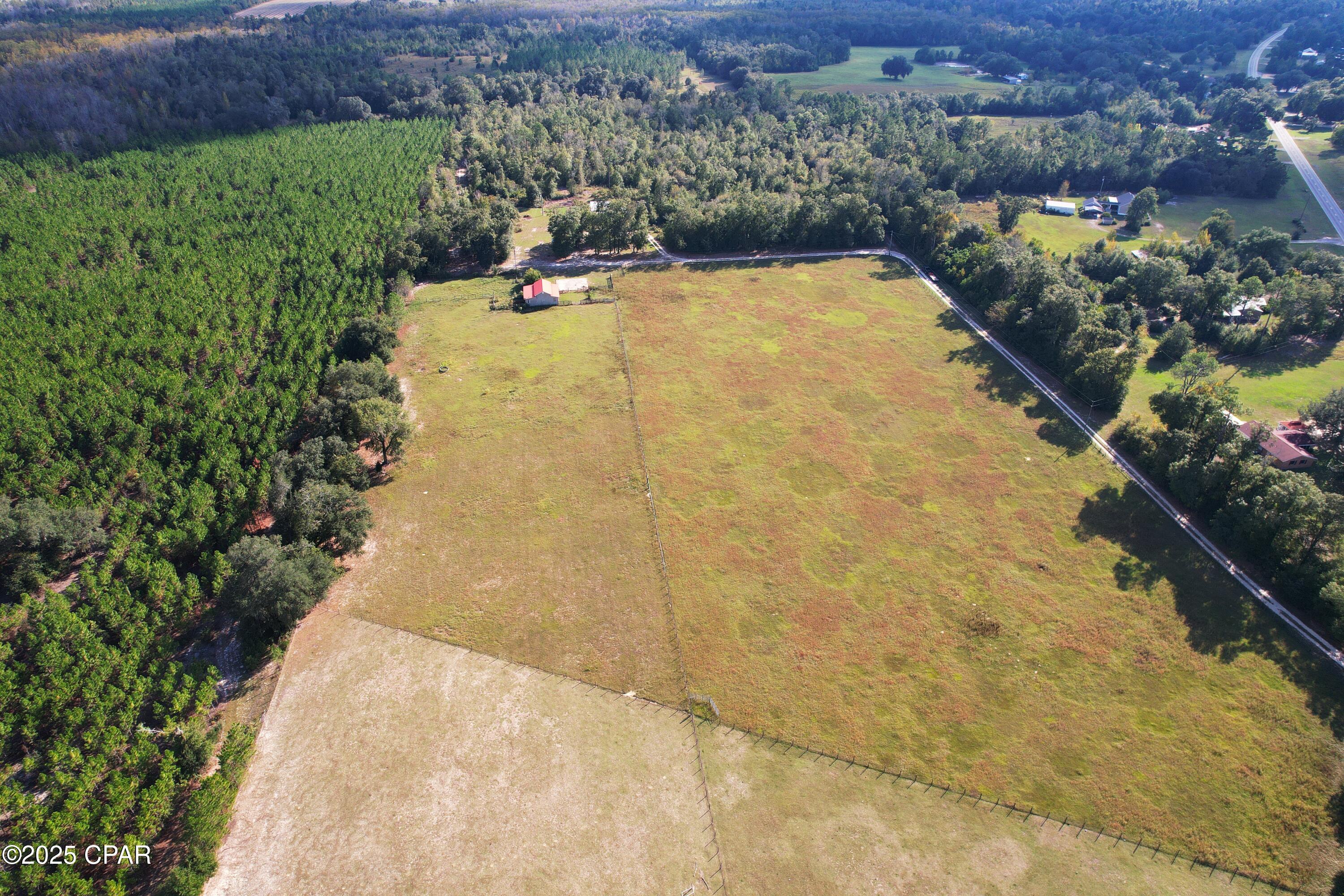 6479 Blue Springs Road Greenwood, FL 32443 - Photo 4 of 30