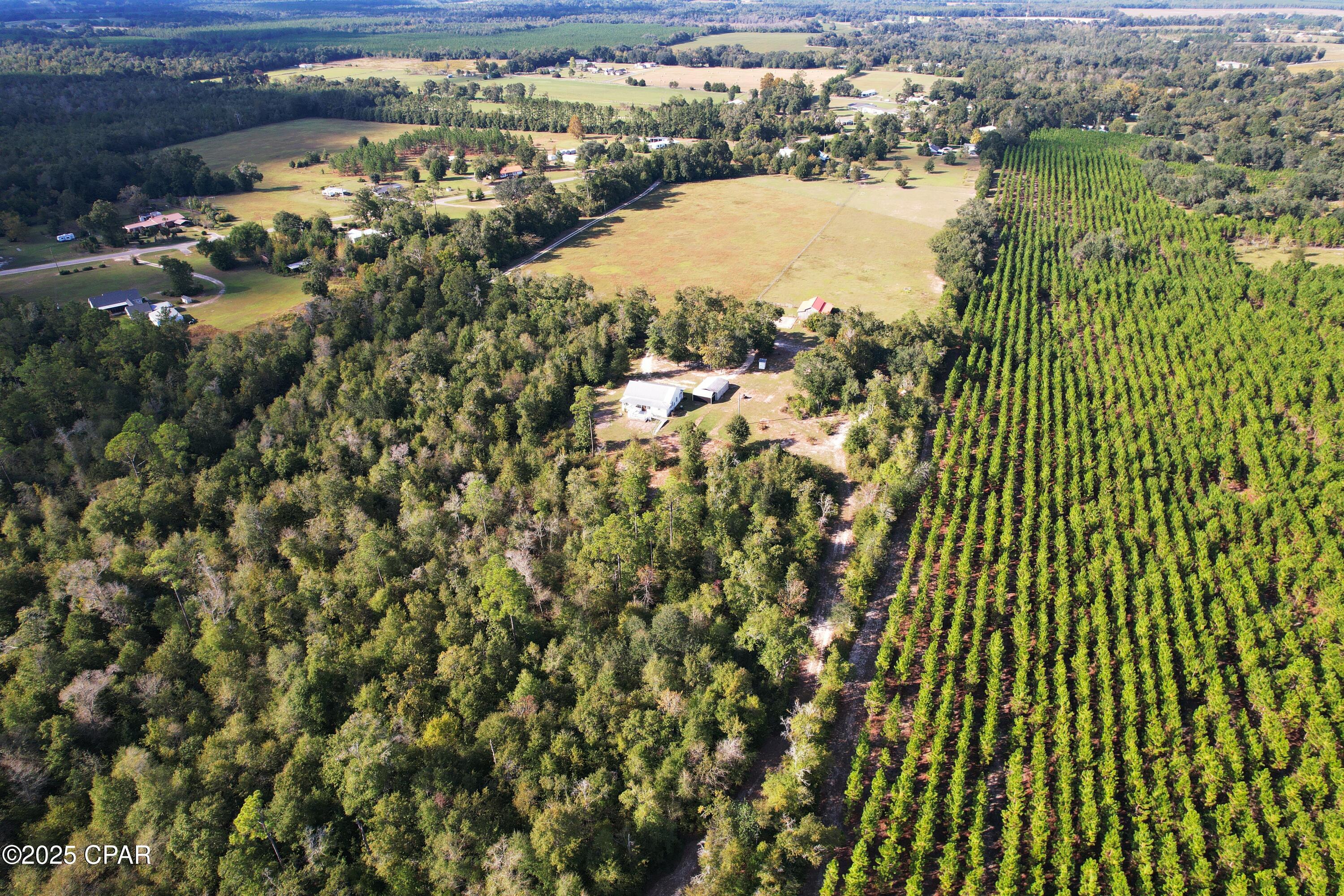 6479 Blue Springs Road Greenwood, FL 32443 - Photo 6 of 30