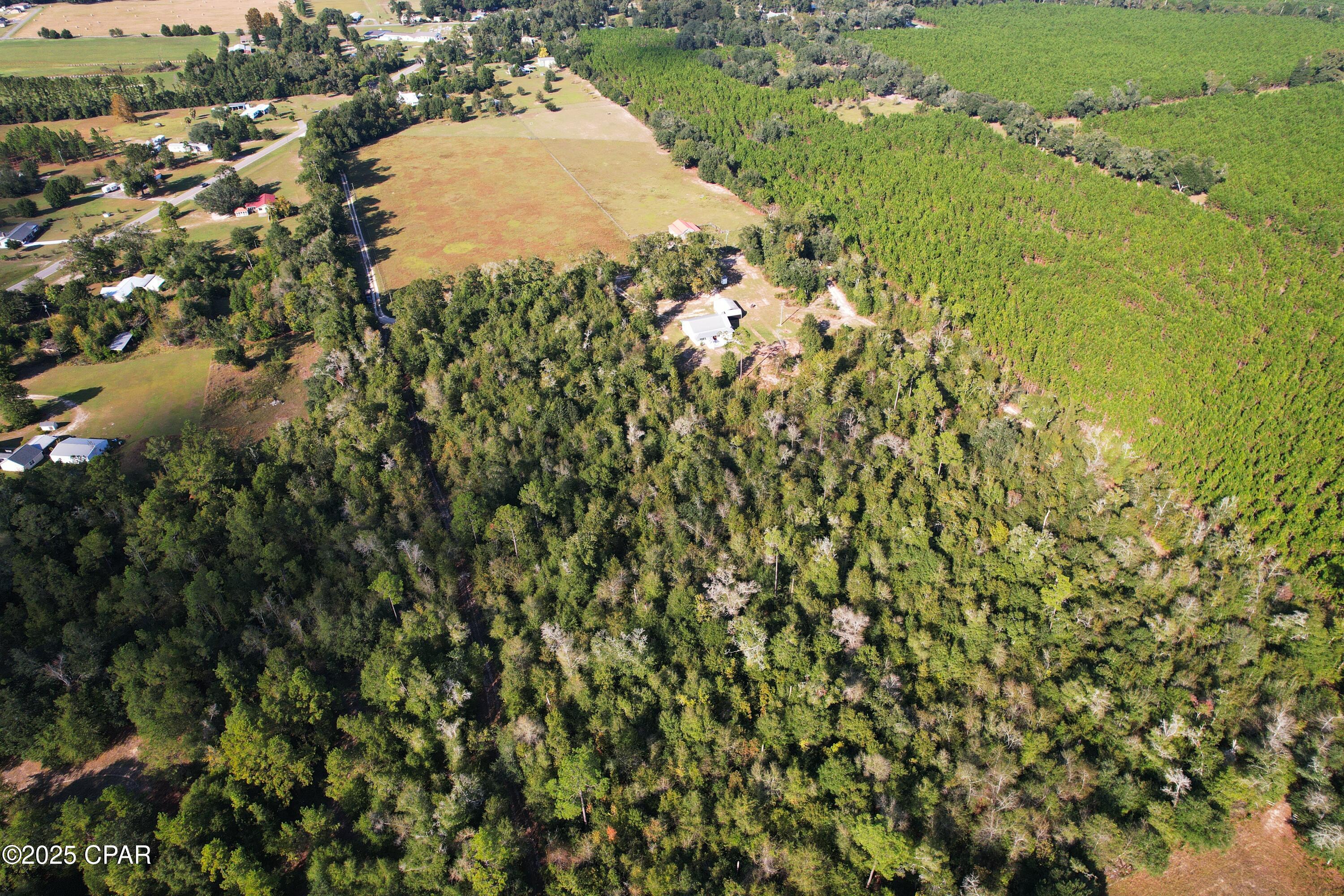 6479 Blue Springs Road Greenwood, FL 32443 - Photo 8 of 30