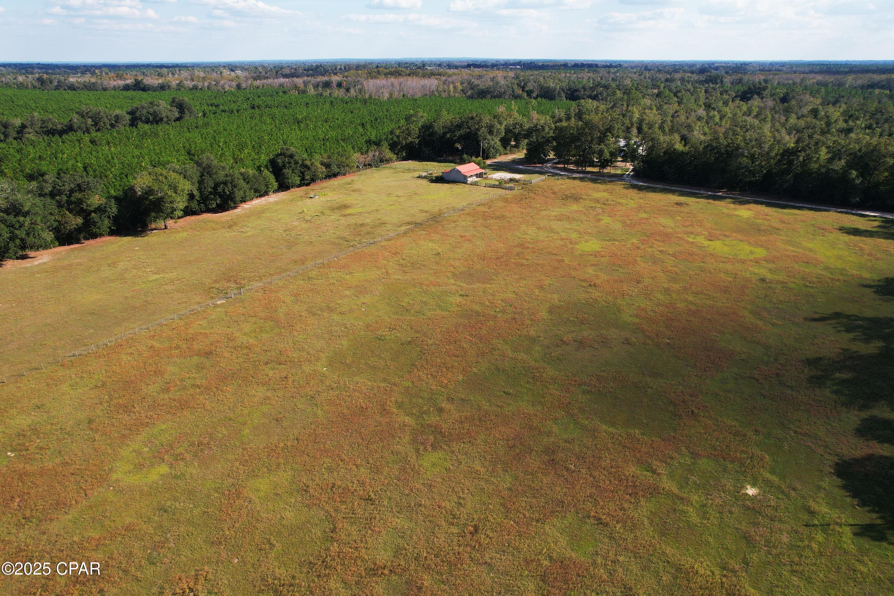 6479 Blue Springs Road Greenwood, FL 32443 - Photo 10 of 30