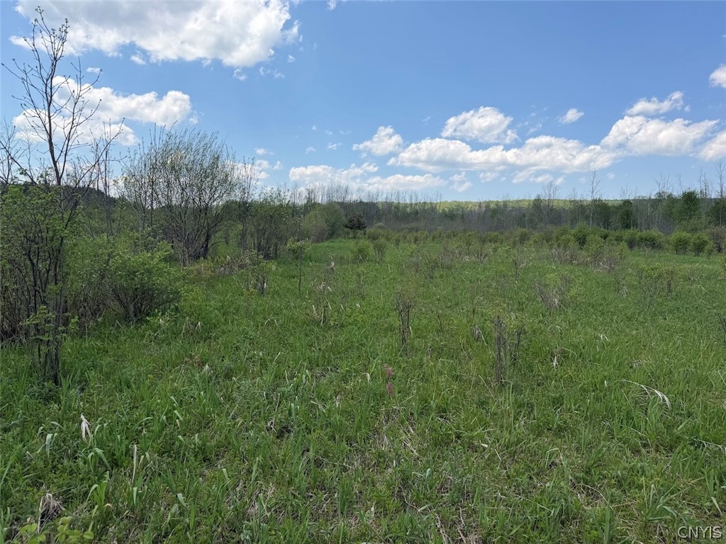 Buttermilk Road South Dayton, NY 14138 - Photo 7 of 26
