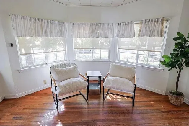 a living room with furniture and a potted plant