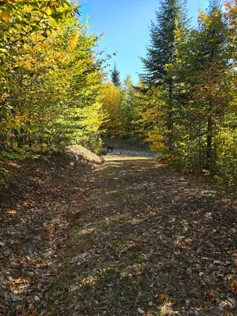 $19,900 | Lot 25-6w Bates Ridge Road, Houlton, ME 04730